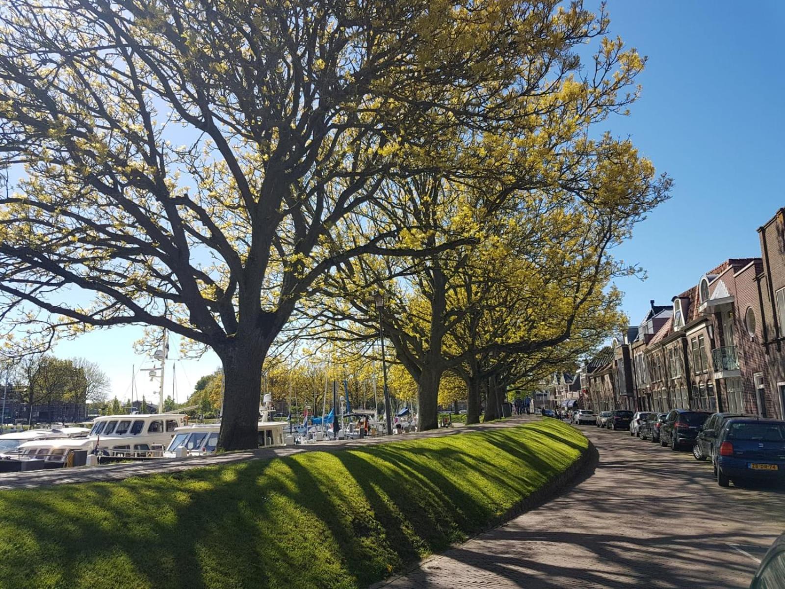Appartement Havenzicht Enkhuizen Ngoại thất bức ảnh